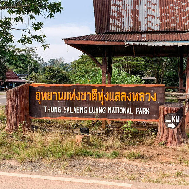 เที่ยว“อุทยานแห่งชาติทุ่งแสลงหลวงสะวันนาเมืองไทย”