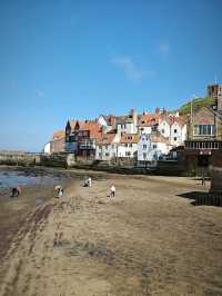 whitby 