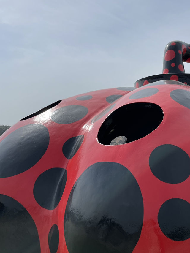 【香川】アートの島直島へ🖌🎨 モネの庭やかぼちゃオブジェに癒されよう🌿‬