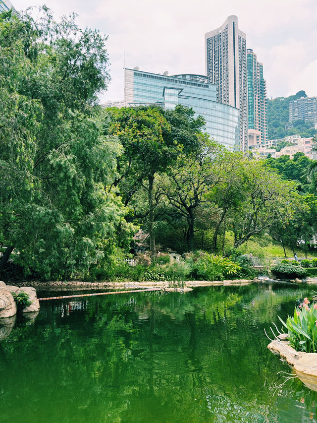 香港公園｜深度遊的都市綠意與文化交匯