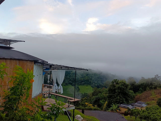 🏡 “Finzy Homestay – เช็กอินความสุขกลางหุบเขา”