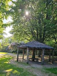 Tatton Park: A Grand Estate Full of Unexpected Magic