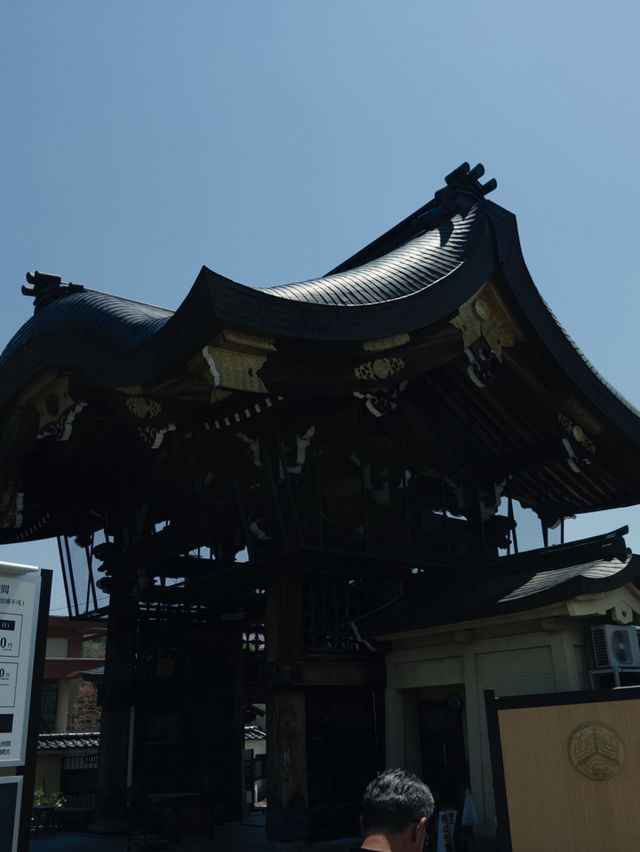 ⛩️ 高山別院 昭蓮寺 寺宝館：飛騨高山の歴史と信仰を伝える静謐な空間