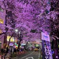 Tokyo Spring Moments