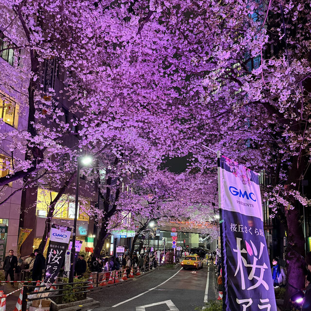 Tokyo Spring Moments