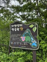 자연 속 인생샷 명소, 감성 가득한 생태 산책 코스