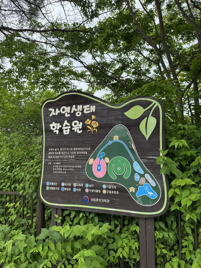 자연 속 인생샷 명소, 감성 가득한 생태 산책 코스