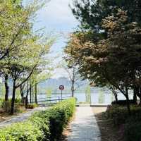 A Great Place to Walk: seongjeong Embankment Road (Songjeong Jegil)