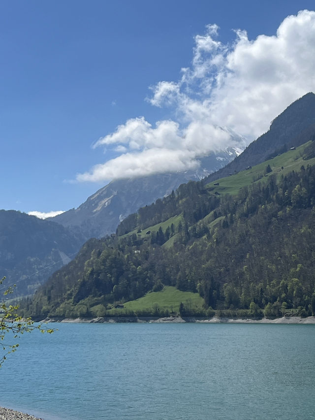 【🇨🇭瑞士自駕一天全搞定攻略】盧塞恩→因特拉肯→格林德瓦：美景比坐少女峰火車更壯觀！🚗🏔️  
