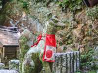 【島根県】 願い石と湯の神々を祀る美肌温泉屈指のパワースポット『玉作湯神社』⛩️