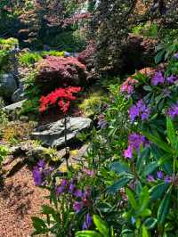Queen Elizabeth Park – Vancouver’s Elevated Garden Sanctuary