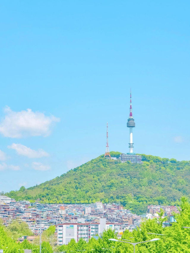 Seoul searching: found good food, kind 