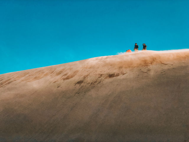 Sand, Smiles, and Screams of Joy at Anna Bay