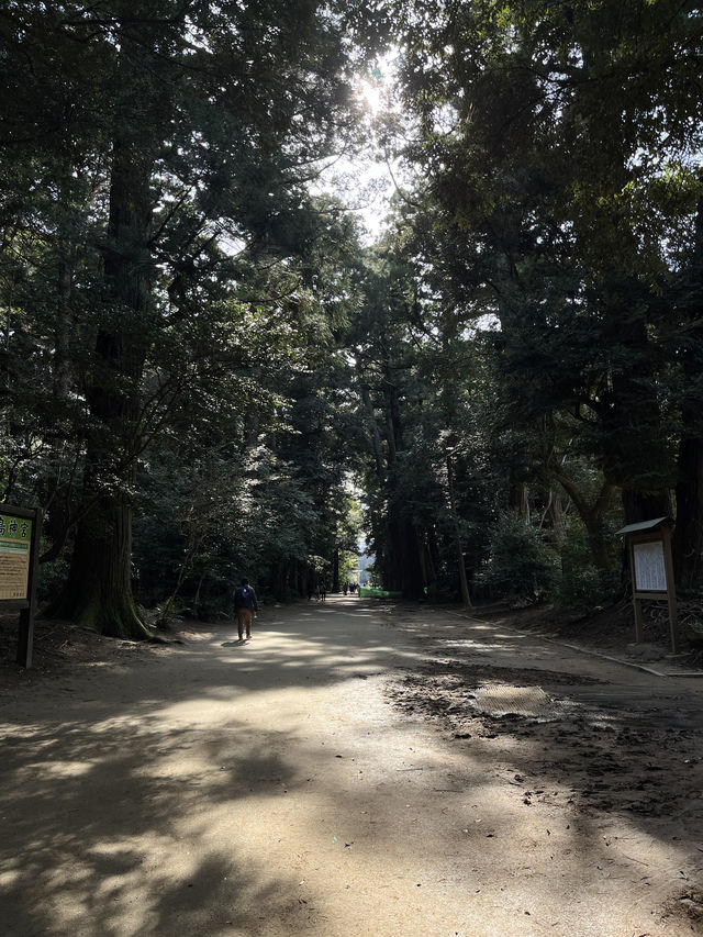 【神木與靈泉的庇佑】走進鹿島神宮—一場靜心與祝福的神域旅程