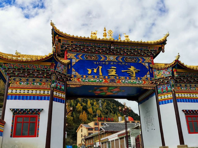 九寨溝➕甘南🇨🇳 夢幻水景與藏地風情的奇妙組合❗️