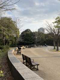 🌿**【木場公園】 東京のまんなかで深呼吸。自然とアートにふれる緑の楽園**