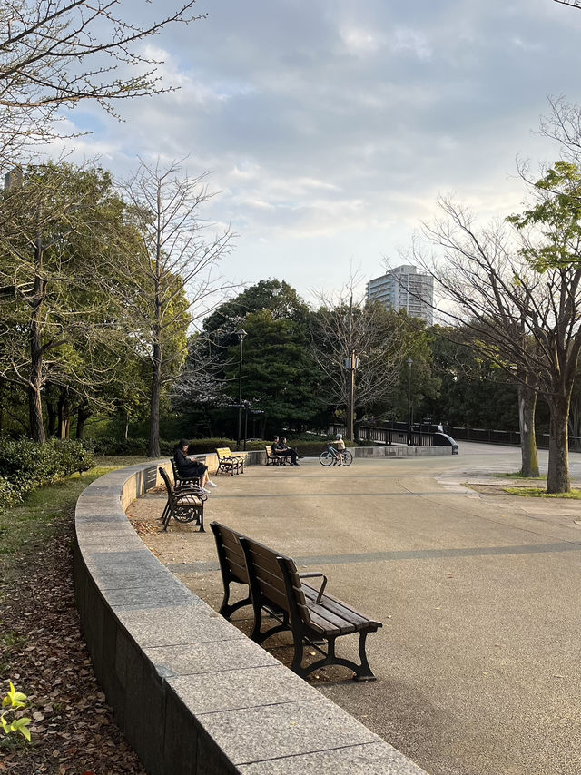🌿**【木場公園】 東京のまんなかで深呼吸。自然とアートにふれる緑の楽園**
