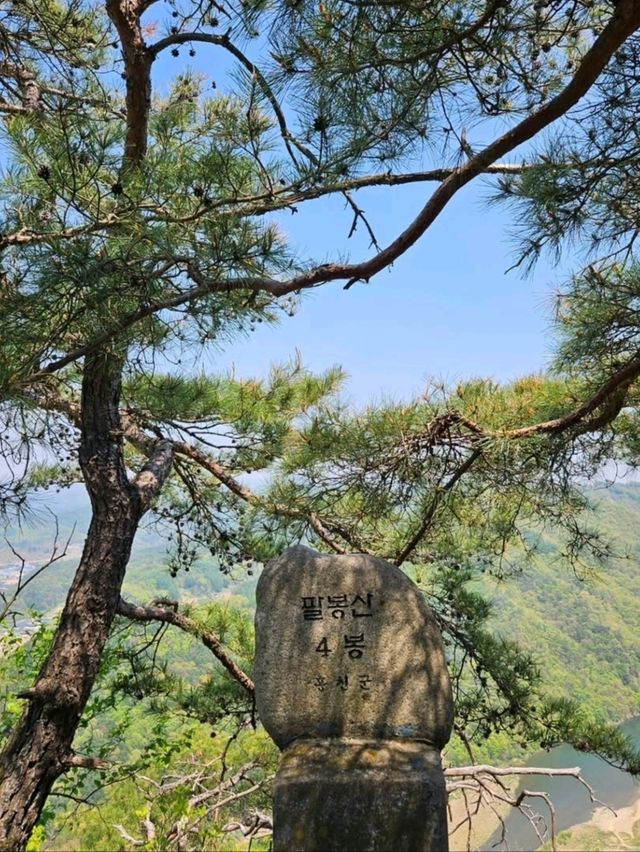 Exploring Palbongsan Was a Chill Little Adventure