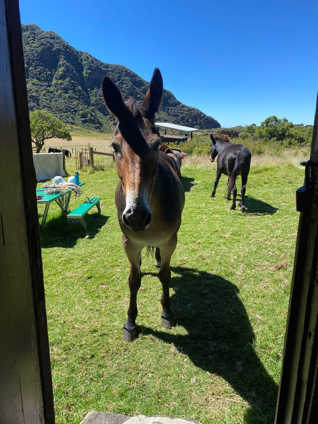 Haleakalā National Park 