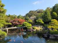 日本｜兵庫｜好古園