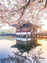 杭州🇨🇳 再有時間一定會再深度遊這個城市