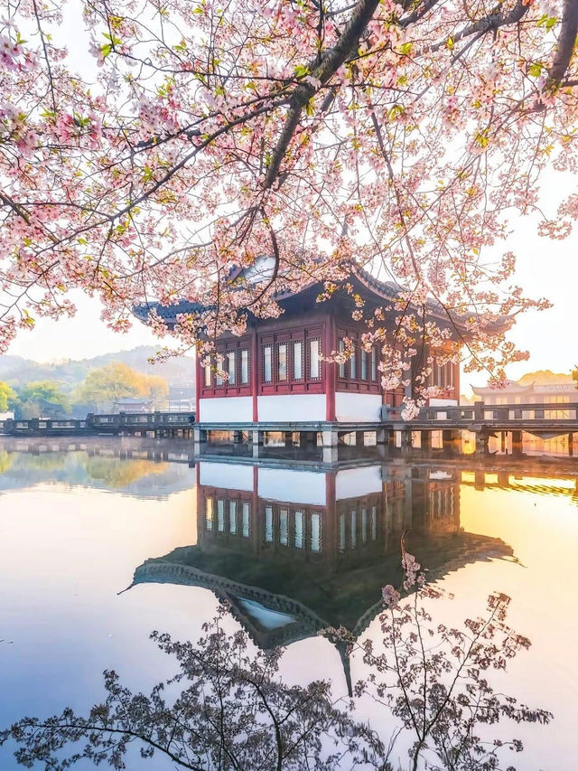 杭州🇨🇳 再有時間一定會再深度遊這個城市