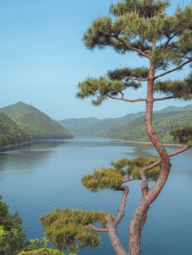 이국적인 풍경을 볼 수 있는“수생식물학습원”