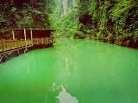 Not Just the Glass Bridge – This Is the Real Beauty of Zhangjiajie