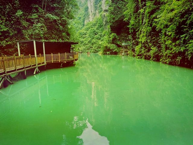 Not Just the Glass Bridge – This Is the Real Beauty of Zhangjiajie