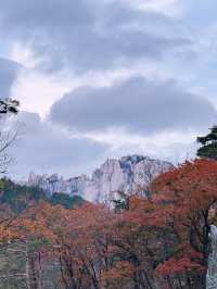 [설악산 여행기] 걷는 것만으로도 위로가 되는 시간, 설악산🌲