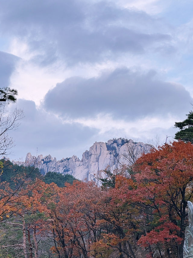 [설악산 여행기] 걷는 것만으로도 위로가 되는 시간, 설악산🌲