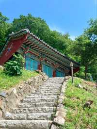 숲속 고요를 만나는 힐링 산책