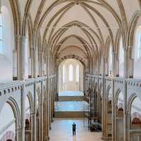 Weekend Adventures: Exploring Magdeburg! 🇩🇪✨