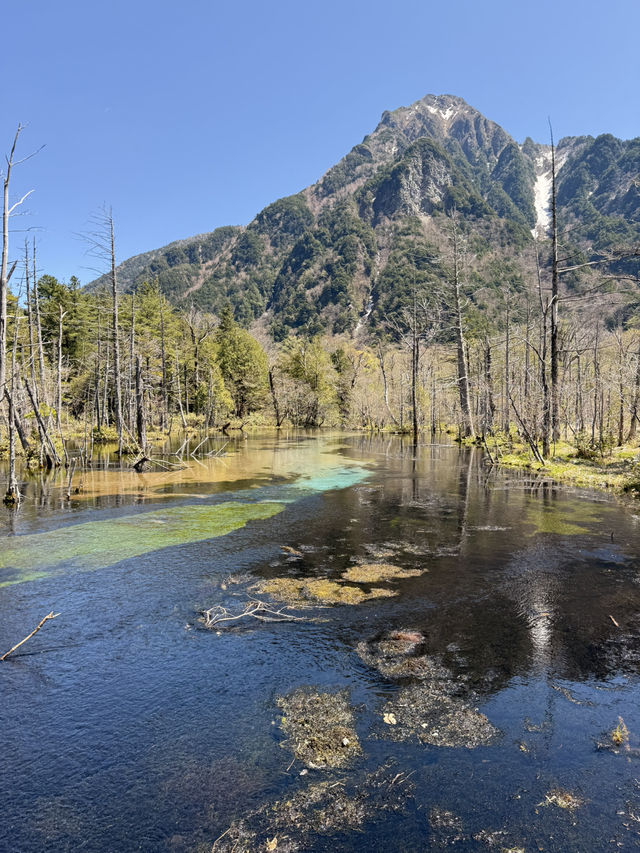 Kamikochi May 2025