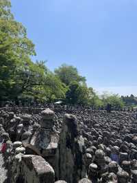 極樂淨土，回歸寧靜