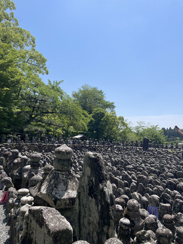 極樂淨土，回歸寧靜