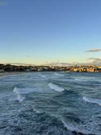 8 days in Sydney!