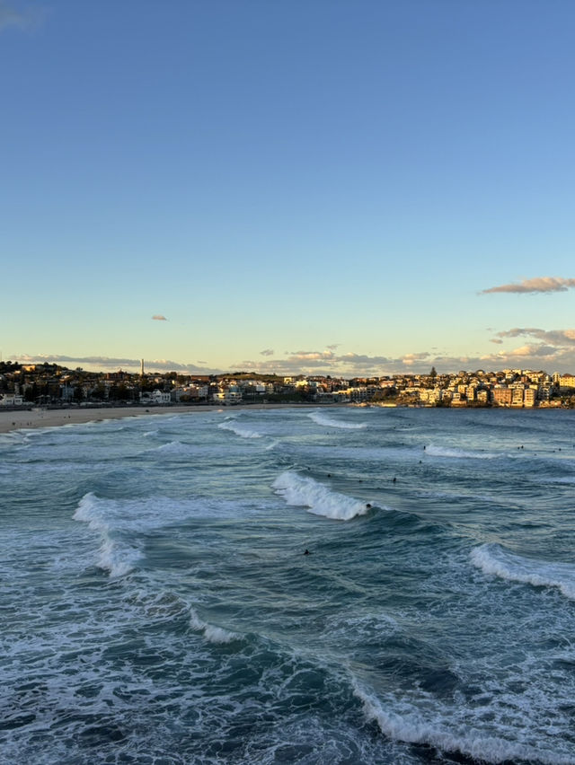 8 days in Sydney!
