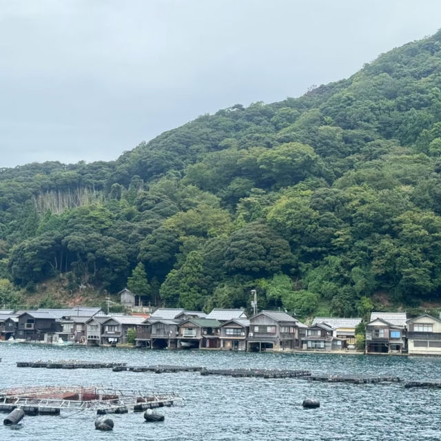 Osaka & Kyoto Deep Dive: Must-Visit Hidden Gems! 💎🇯🇵