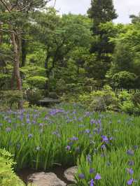 A Serene Harmony of Art & Nature — My Visit to Nezu Museum, Tokyo