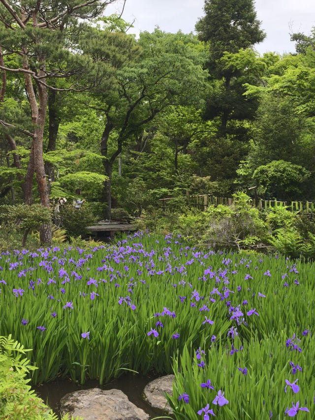 A Serene Harmony of Art & Nature — My Visit to Nezu Museum, Tokyo
