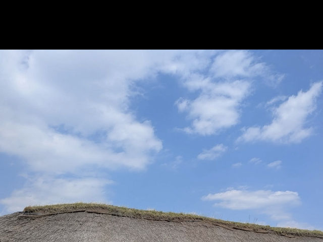 🎯【青森・三内丸山遺跡】1万年以上前の鼓動が響く、縄文の森でタイムスリップ体験