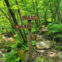 Korea's First Ramsar Wetland