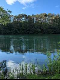 🏞【福島・裏磐梯】五色沼湖沼群｜色が変わる不思議な湖をめぐる“癒しのネイチャートリップ”