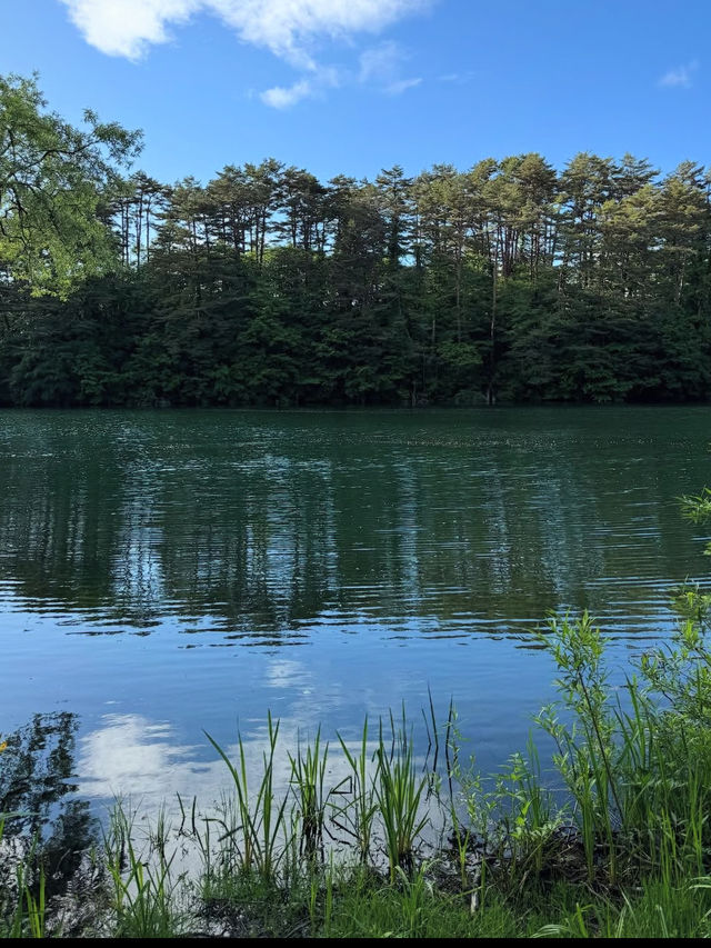 🏞【福島・裏磐梯】五色沼湖沼群｜色が変わる不思議な湖をめぐる“癒しのネイチャートリップ”