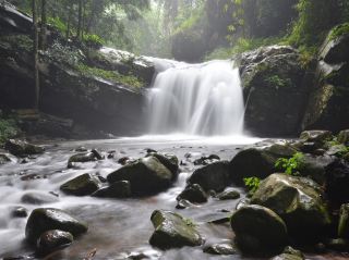 In the heart of nature, refresh your mind and body.
