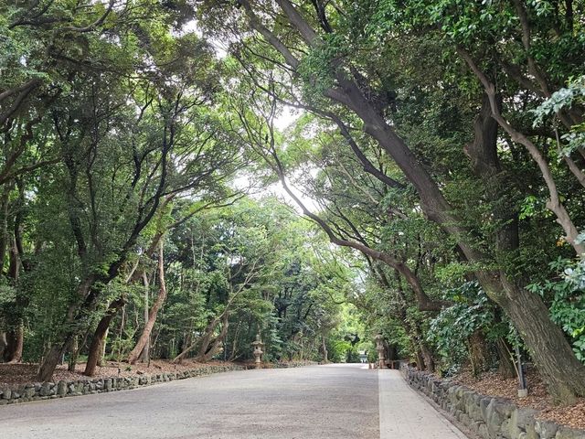 走進森林般的熱田神宮🌿⛩️