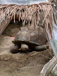 長崎Bio park- 教育與感動兼具的動物園
