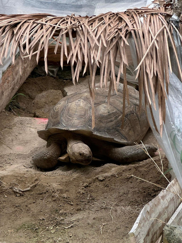 長崎Bio park- 教育與感動兼具的動物園
