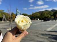 Peace, Reflection & Rose Ice Cream: A Memorable Visit to Nagasaki Peace Park